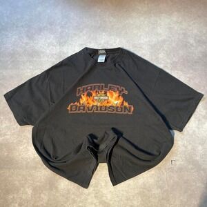 Vintage Harley Davidson Biker Flames Shirt